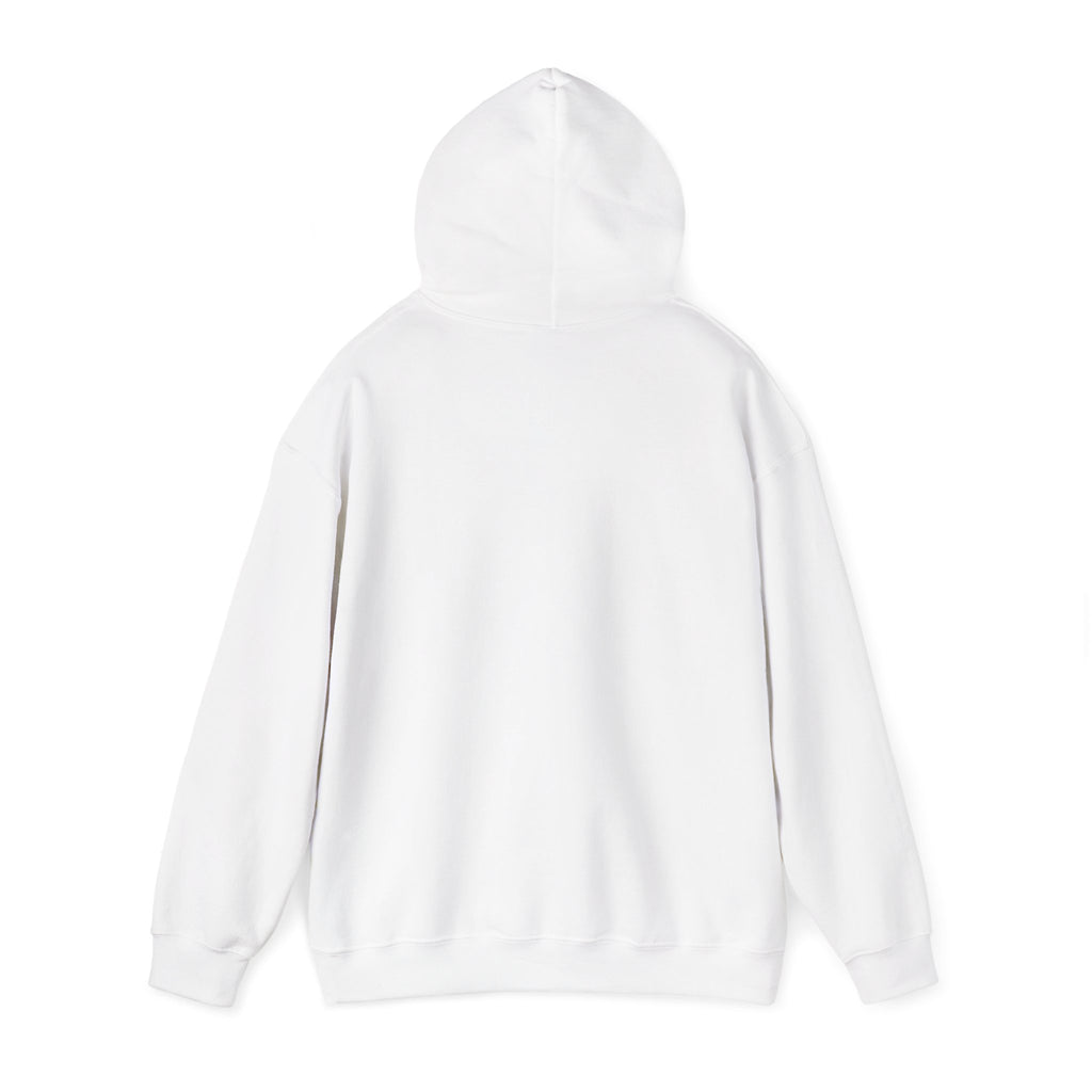 Copy of Copy of Unisex Heavy Blend™ Hooded Sweatshirt